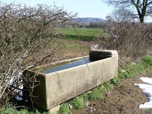 Photo water trough rowde a - photo, a2