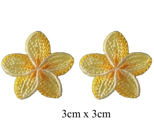 Yellow flower flowers - yellow,