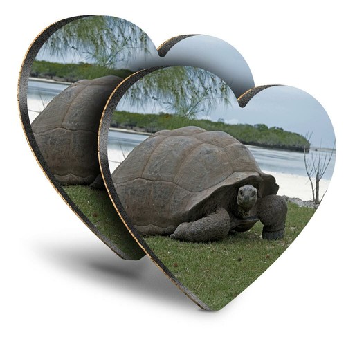 Heart mdf coasters - mdf,