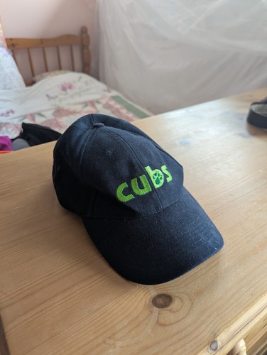 Cubs baseball cap - cubs,
