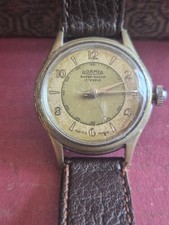 Vintage Roamer Brevete 17