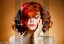 HAIR HAIRDRESSING HAIRSTYLE HEALTH BEAUTY POSTER PRINT ART CHOICE OF SIZES SALON