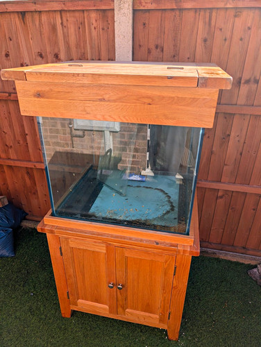 Glass cube aquarium fish - , tank