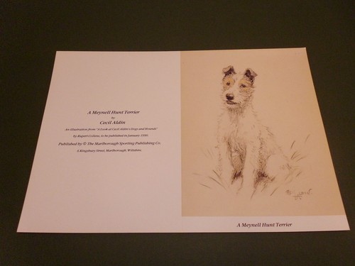 Cecil aldin card meynell - aldin,