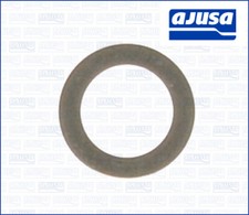OIL DRAIN PLUG SEAL RING