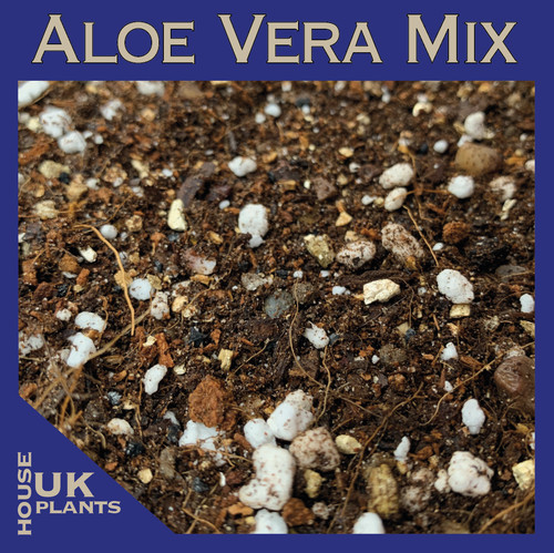 Aloe vera soil mix - aloe,