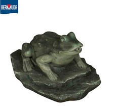 BERMUDA POND SPITTER FROG ON