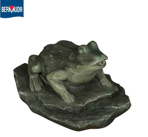 Bermuda pond spitter - spitter, frog