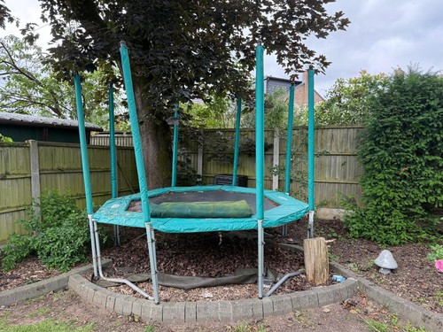 Trampoline 10ft used - trampoline,