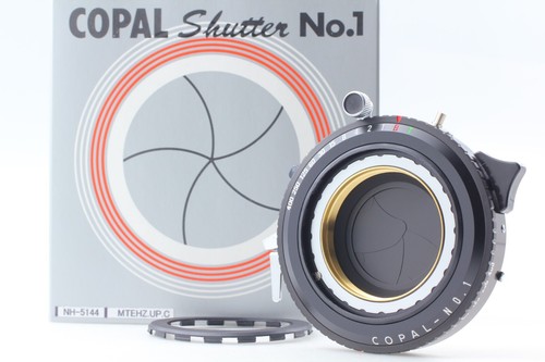 Top mint copal shutter - mint】,