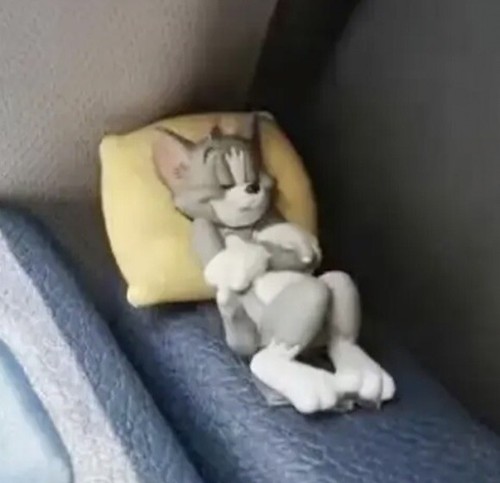 Disney sleeping tom jerry - disney,