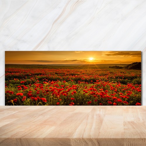 Kitchen glass splashback - kitchen,