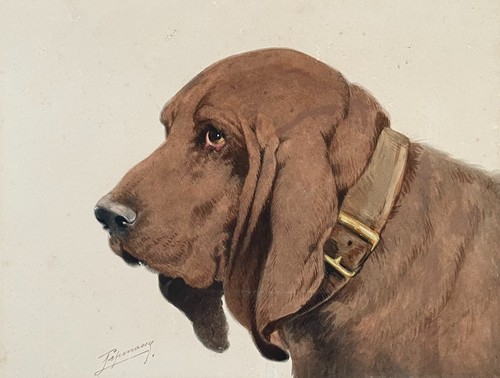 Hunting dog antique - hunting, dog,