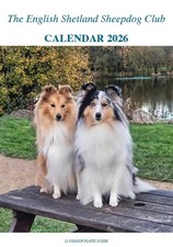 SHETLAND SHEEPDOG/SHELTIE CALENDAR 2026 - IDEAL CHRISTMAS GIFT