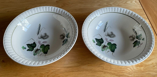 Royal worcester palissy - worcester,