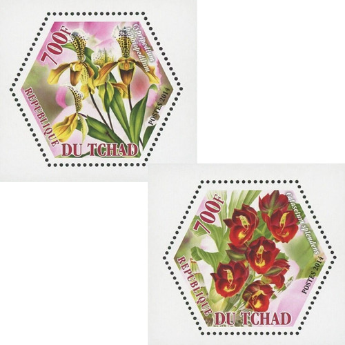 Orchid stamp bundle - orchid, 2