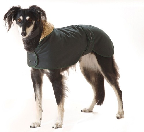 Factory second greyhound - second, /