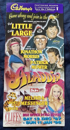 Melinda messenger panto flyer - messenger,