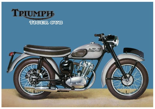 Triumph poster t20 tiger - poster, cub