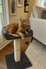 Large Cat Scratching Post