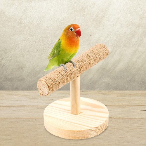 Tabletop bird play stand - stand, solid