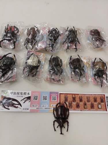 Japanese gashapon insect - japanese,
