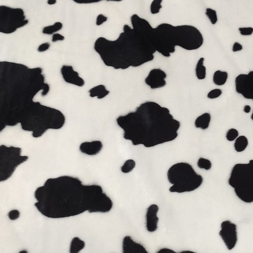 Black white cow animal - &, print