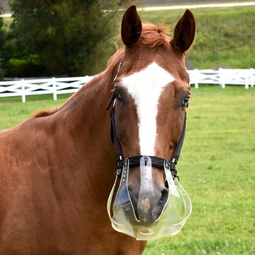 Thinline flexible filly - flexible,