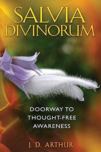 Salvia divinorum doorway to - salvia,