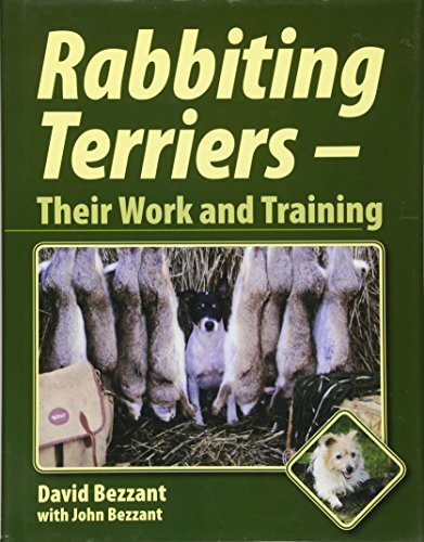 Rabbiting terriers their - rabbiting,