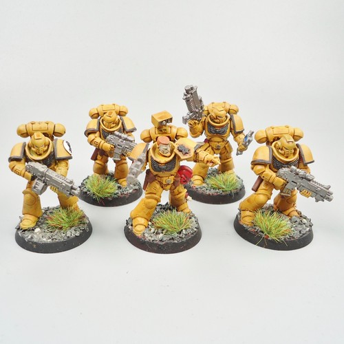 Imperial fists primaris - imperial,