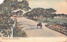 BARBADOS~HASTINGS ROAD-HORSE