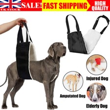 NEW Pet Dog Mobility Aids