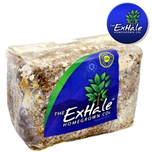 Exhale standard co2 bag - co2,