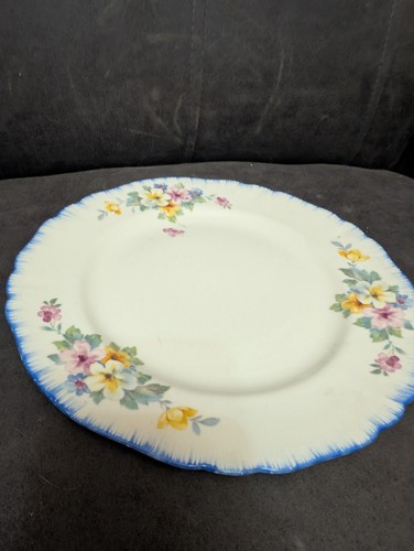 Alfred meakin vintage plate - vintage,