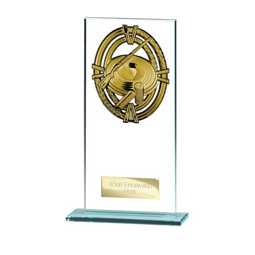 Clay pigeon shooting - clay, trophies