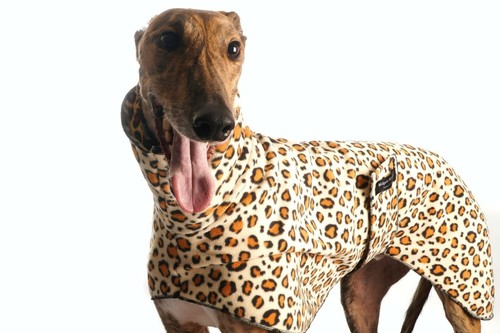 Greyhound whippet iggy fleece - greyhound/whippet/iggy,