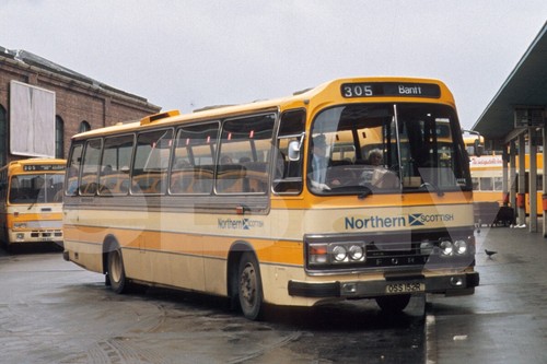 Coach photo northern - coach,
