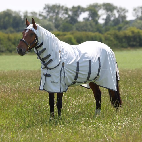 Shires highlander plus - highlander,
