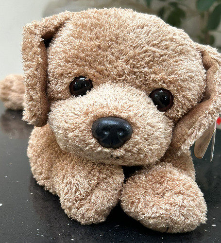 Beanie babies rare 1999 - ty,