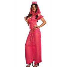 BELLY DANCER BOLLYWOOD JASMINE GENIE ARABIAN PRINCESS LADIES FANCY DRESS COSTUME