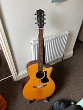 Eastman Electro-Acoustic