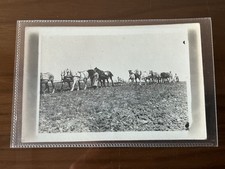 RP Rural Postcard Horse