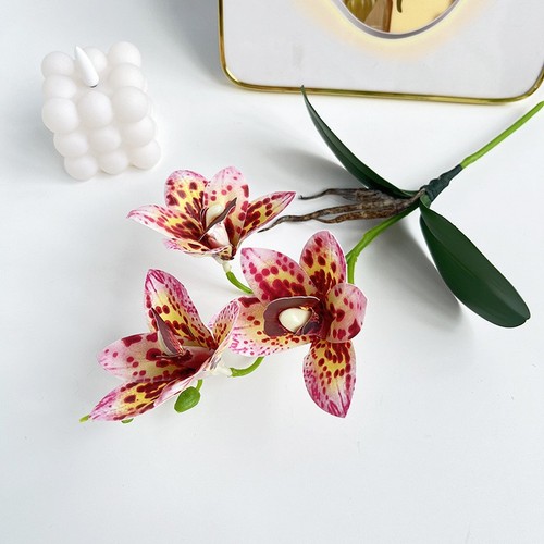 Cymbidium orchid decor - cymbidium,