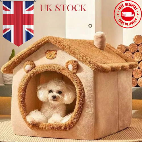 Pet cat kitten - cat, beds
