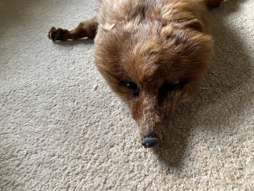 Vintage antique real fox fur - vintage/antique,