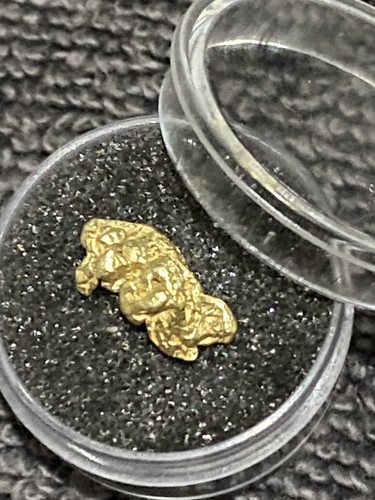 68g raw gold - gold, alaskan