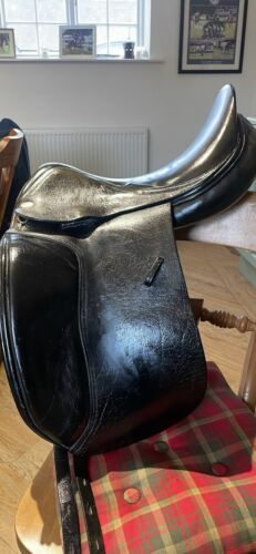 Harry dabbs jaguar dressage - harry,
