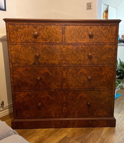 Antique chest drawers burr - of,
