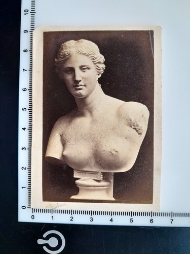 Cdv venus de - (trimmed):,